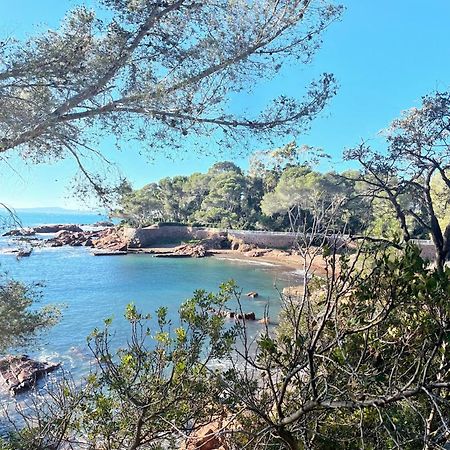 2 Pieces Saint Raphael Renove, Classe 4 Etoiles, 100 M Plages, Piscine, Tennis, Parc, Terrasse, Jardin Privatif Exterior foto