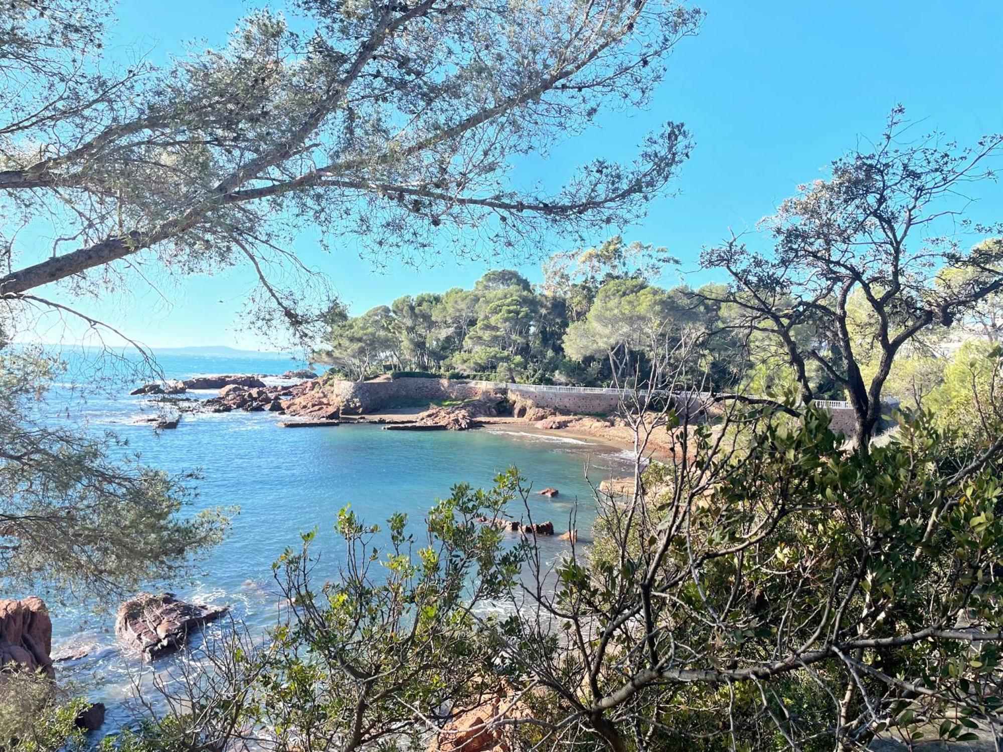 2 Pieces Saint Raphael Renove, Classe 4 Etoiles, 100 M Plages, Piscine, Tennis, Parc, Terrasse, Jardin Privatif Exterior foto